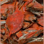 Easy Crab Recipes You Can Cook at Home: A Culinary Adventure