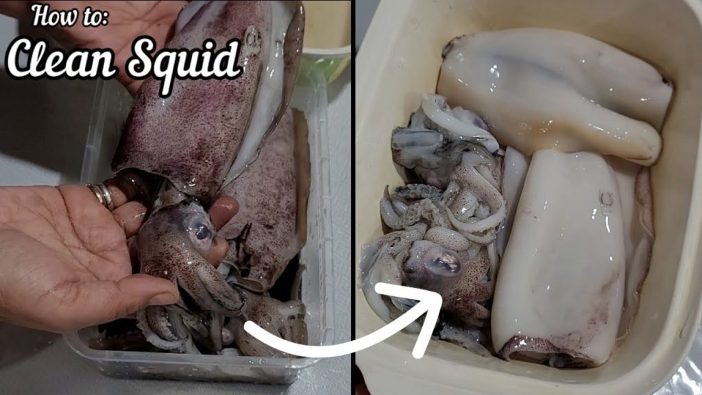Easy Steps to Clean Squid for Various Dishes: A Comprehensive Guide
