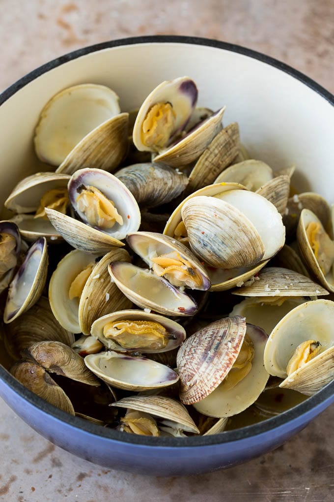 From Shore to Plate: The Ultimate Beginner’s Guide to Delicious Clam Recipes