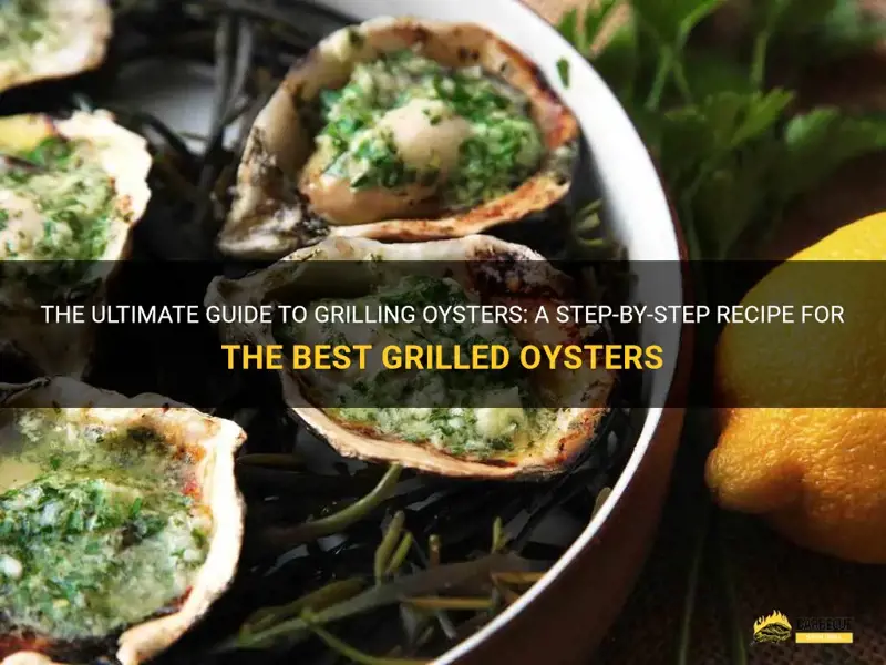 Grilling Oysters to Perfection: A Seafood Lover’s Ultimate Guide