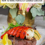 Lobster Lover’s Launchpad: Foolproof Recipes for Beginners