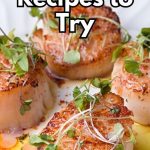 MasterChef-Style Scallops: Elevate Your Home Cooking to Culinary Heights