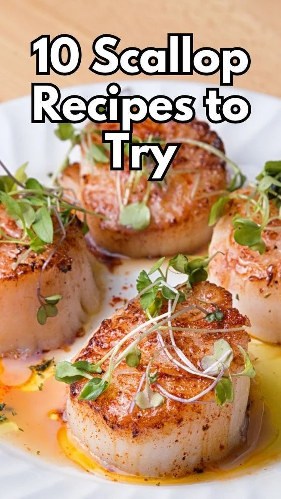 MasterChef-Style Scallops: Elevate Your Home Cooking to Culinary Heights