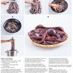 Mastering Octopus: A Comprehensive Guide to Preparing Gourmet Sushi and Sashimi