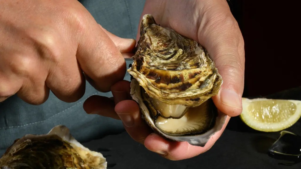 Mastering Oyster Shucking: A Comprehensive Guide to Opening Fresh Oysters Safely and Easily