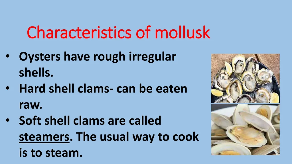 Mastering the Mollusk: Your Complete Guide to Cooking Oysters