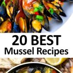 Mastering the Shell: The Best Mussels Recipes for Beginners