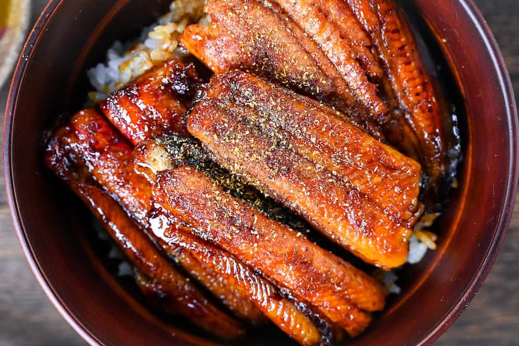 Mastering Unagi Don: Your Ultimate Guide to Crafting Perfect Grilled Eel Bowls at Home