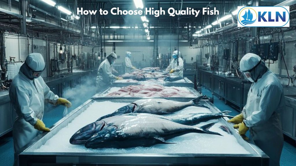 The Definitive Guide to Selecting Restaurant-Quality Fresh Fish
