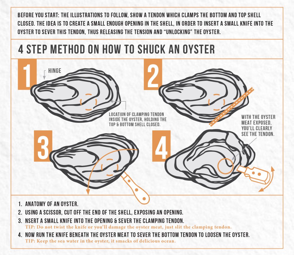 The Master’s Guide to Safely Shucking Fresh Oysters: A Comprehensive Tutorial