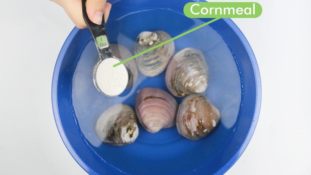 The Ultimate Guide to Thoroughly Cleaning Blood Clams (Kerang Dara): A Masterclass in Seafood Preparation