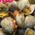 Unlocking Culinary Delight: The Ultimate Guide to Resep Kerang Rebus Bumbu Kuning Yang Gurih Segar